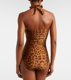 Zimmermann Mahon leopard-print halterneck swimsuit