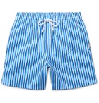 DEREK ROSE - Mid-Length Striped Swim Shorts - Blue