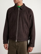 NN07 - Petrus 80030 Suede Jacket - Brown