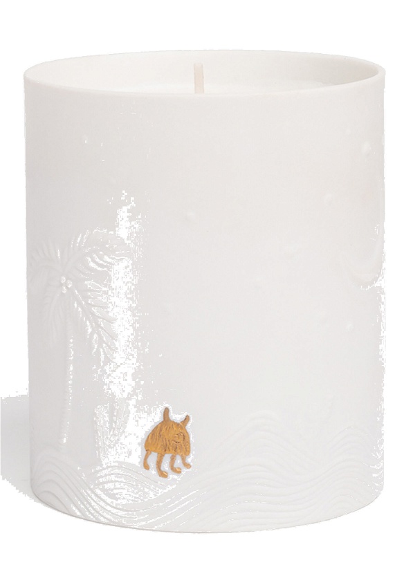 Photo: Mojave Palm Candle in White