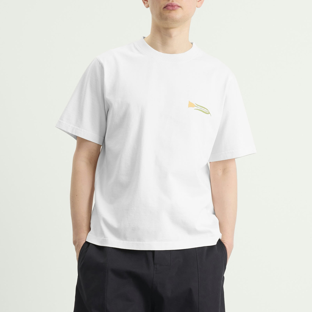 Bram's Fruit Men's Botanical T-Shirt in White
