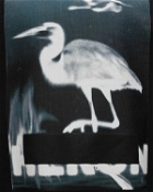 Heron Preston Censored Heron Crewneck Black - Mens - Sweatshirts