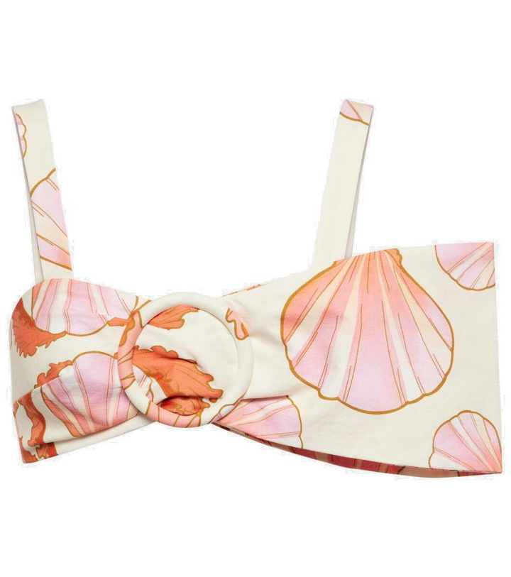 Photo: Adriana Degreas Seashell printed cotton bra top