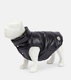 Moncler Genius - x Poldo Dog Couture dog coat