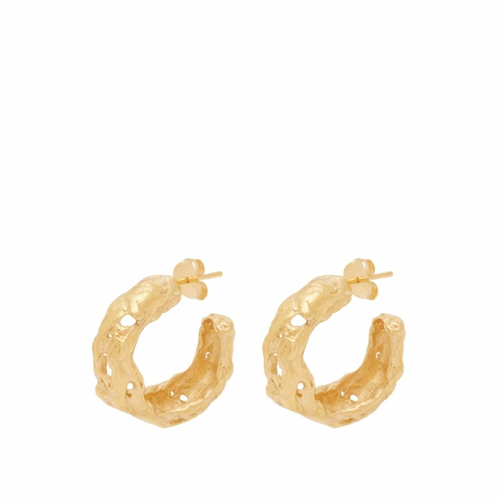 Photo: Simuero Women's Cabo Earrings in Gold 