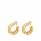 Simuero Women's Cabo Earrings in Gold 
