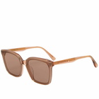 Gentle Monster Tega Sunglasses in Brown/Brown