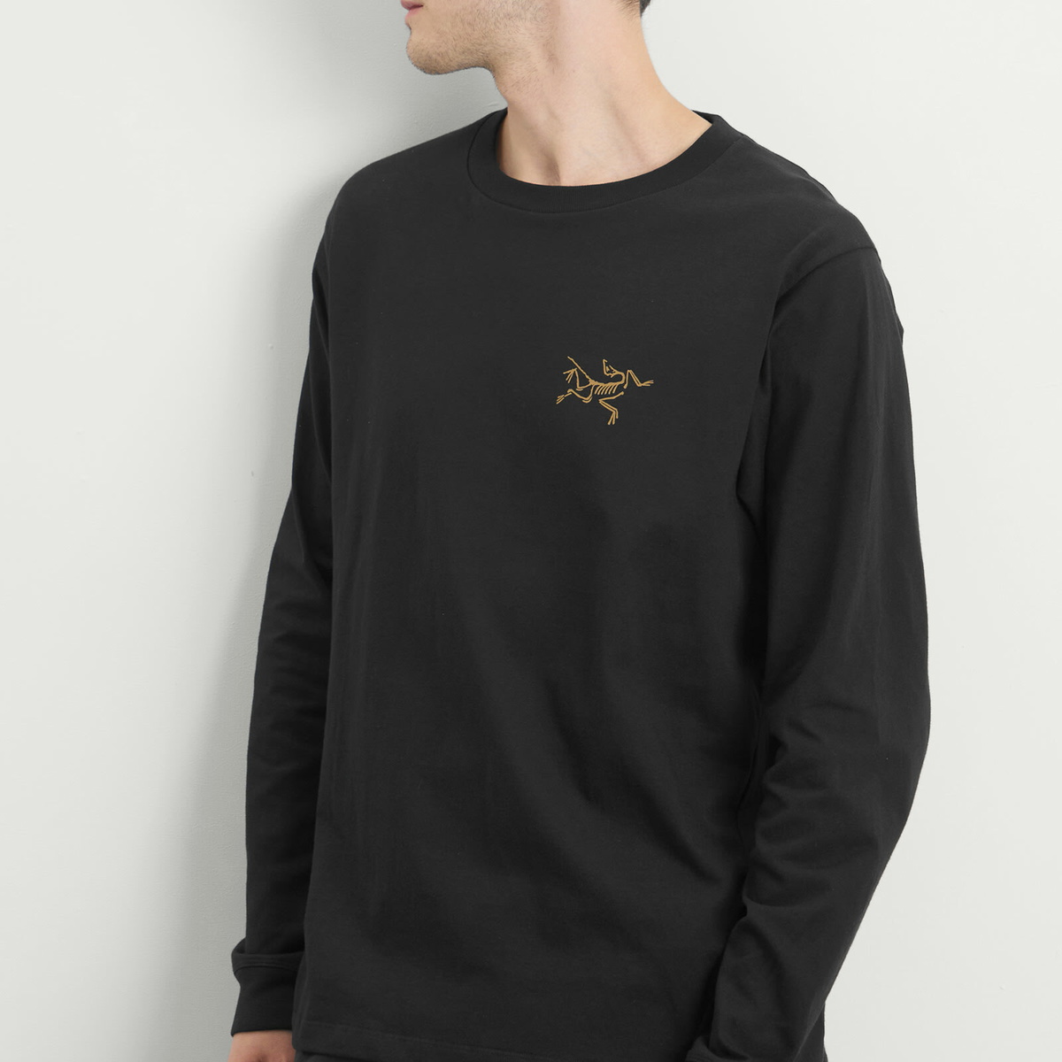 A47 アークテリクス Kragg ロゴ Tシャツ 24Kブラック/L 送料込 Kragg Cotton Logo 24K T-Shirt in Black - Arc'Teryx