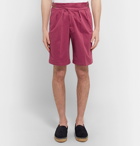 Rubinacci - Manny Pleated Stretch-Cotton Twill Shorts - Men - Pink