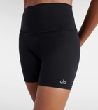 Alo Yoga Airbrush high-rise biker shorts