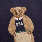 Polo Ralph Lauren Casual Bear Intarsia Crew Knit