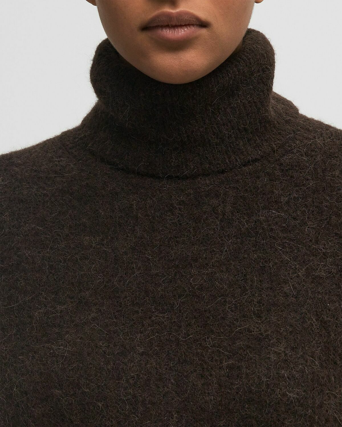 Gestuz AlphaGZ rollneck Brown Womens Pullover