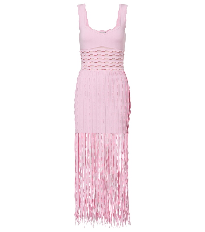 Photo: Simkhai Brionne fringed knitted midi dress