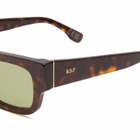 Retrosuperfuture Roma Sunglasses in Brown 