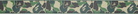 BAPE Khaki ABC Camo 'Bape' Leather Belt