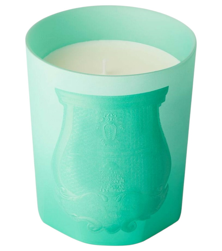 Photo: Trudon Under The Trees scented candle by Alexandra Carlin
