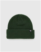 The North Face Fisherman Beanie Green - Mens - Beanies