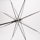 HAY Canopy Umbrella in Clear 