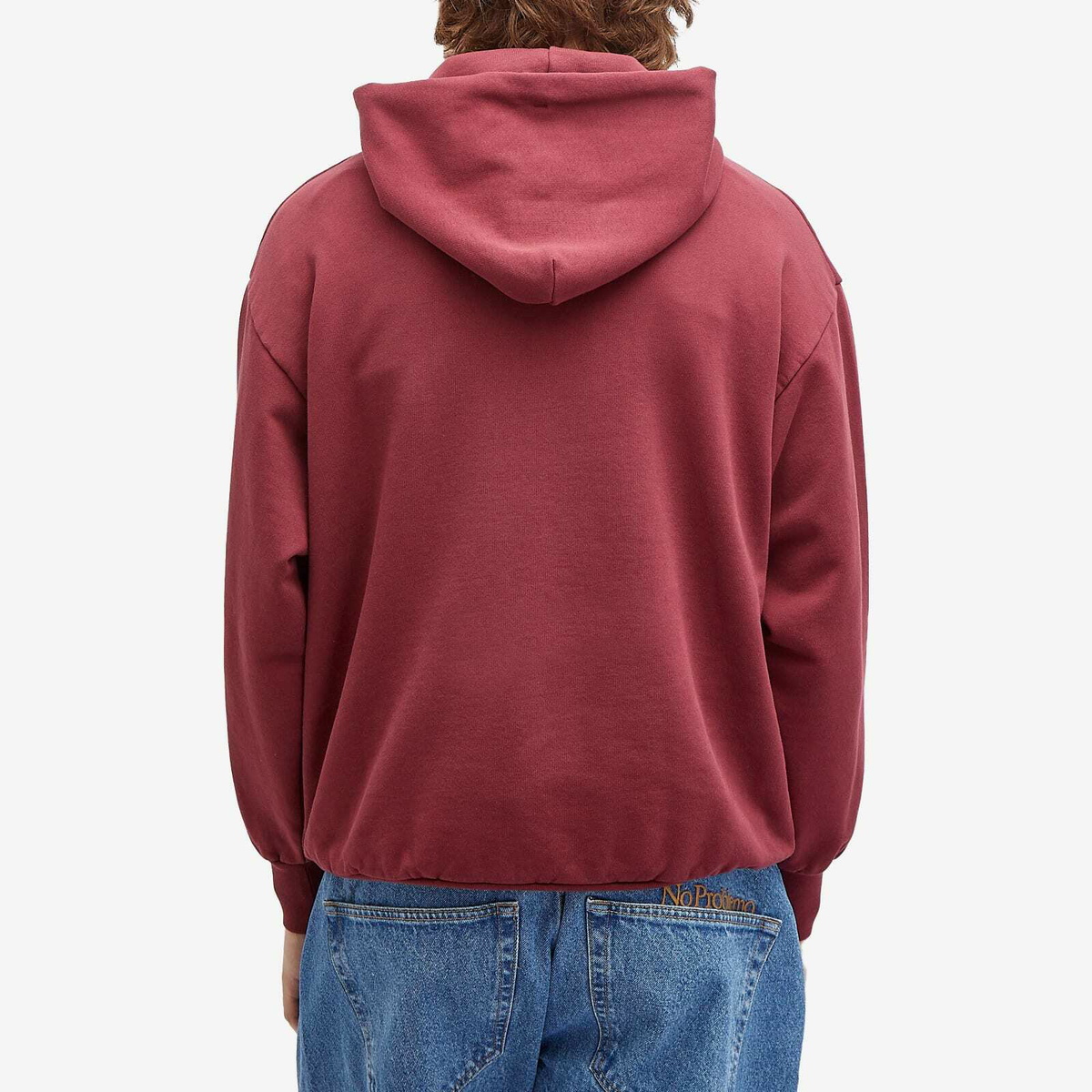 No Problemo Men's Funghi Problemo Hoodie in Burgundy