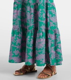 Heidi Klein Santa Rosa paisley cotton-blend maxi dress