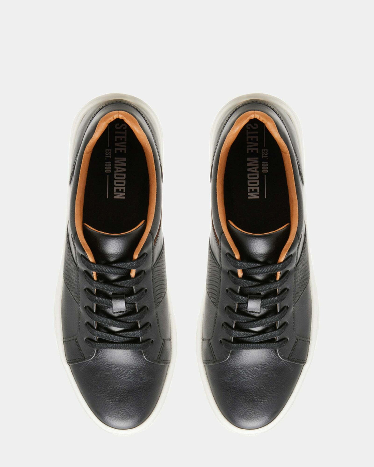 Steve Madden Stormz Sneakers in Black
