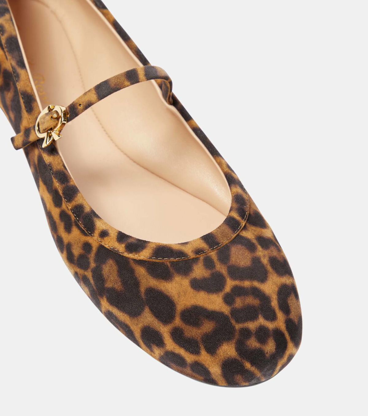 Gianvito Rossi Carla leopardprint suede ballet flats Gianvito Rossi — free download
