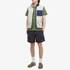 Patagonia Men's Synchilla Vest in Oatmeal Heather