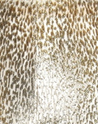 Jucca Womens Pants in Gold