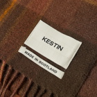 Kestin Men's Dunbar Tartan Scarf in Peat/Rust Check