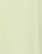 Peserico Womens Top Light in Green