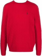 POLO RALPH LAUREN - Wool Pullover