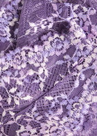 Wacoal Embrace Embroidered Lace Briefs Purple