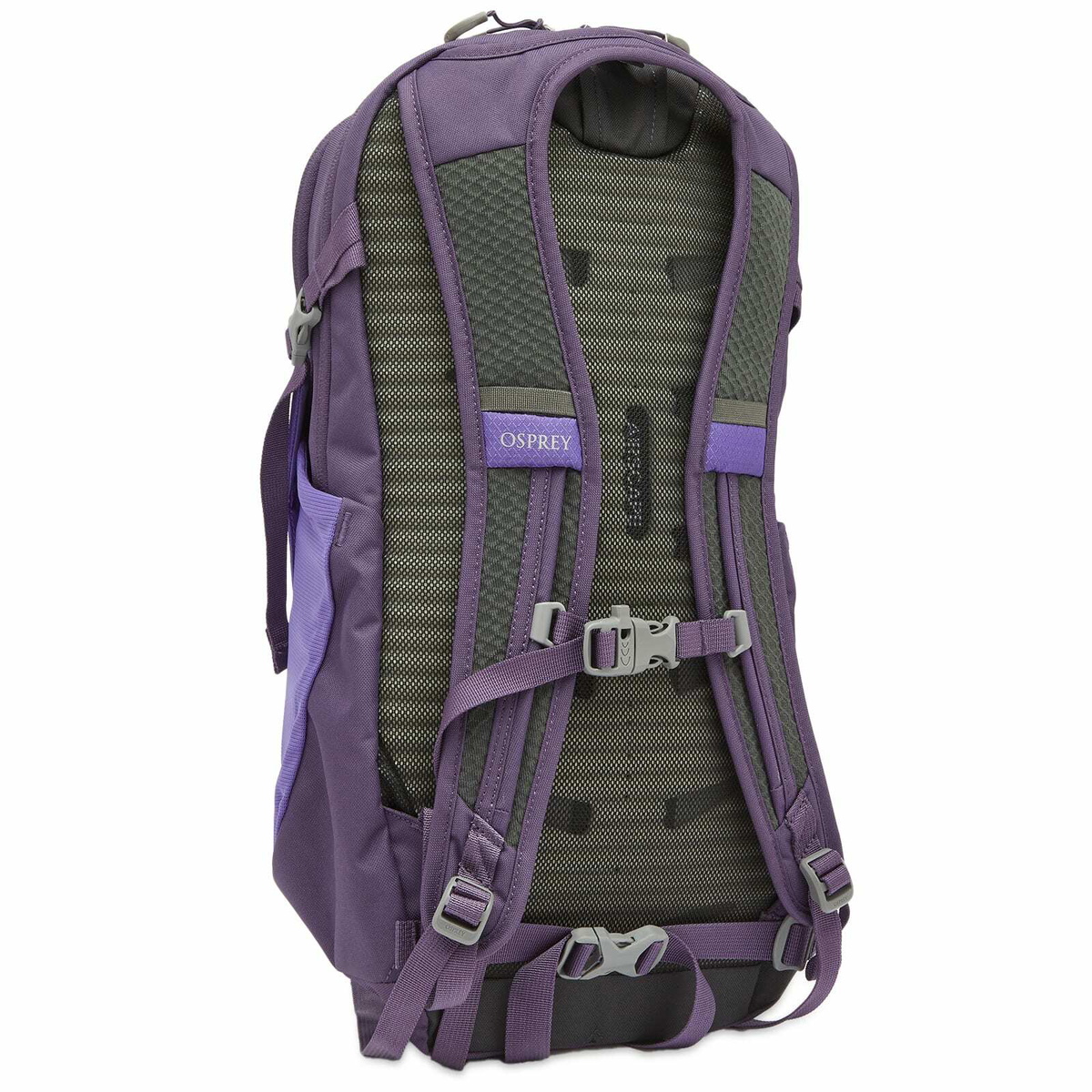 Osprey Daylite Backpack in Dream Purple