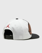Jordan PRO CAP S FB SSNL multi/white Men