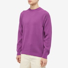 Auralee Men's Rib Crew Knit in Purple