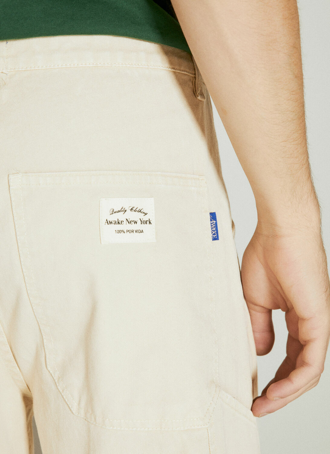 Awake NY Painter Pants