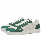 Axel Arigato Men's Dice Lo Sneakers in White/Kale Green
