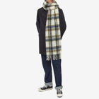 A.P.C. Men's Elie Check Scarf in Off White/Navy