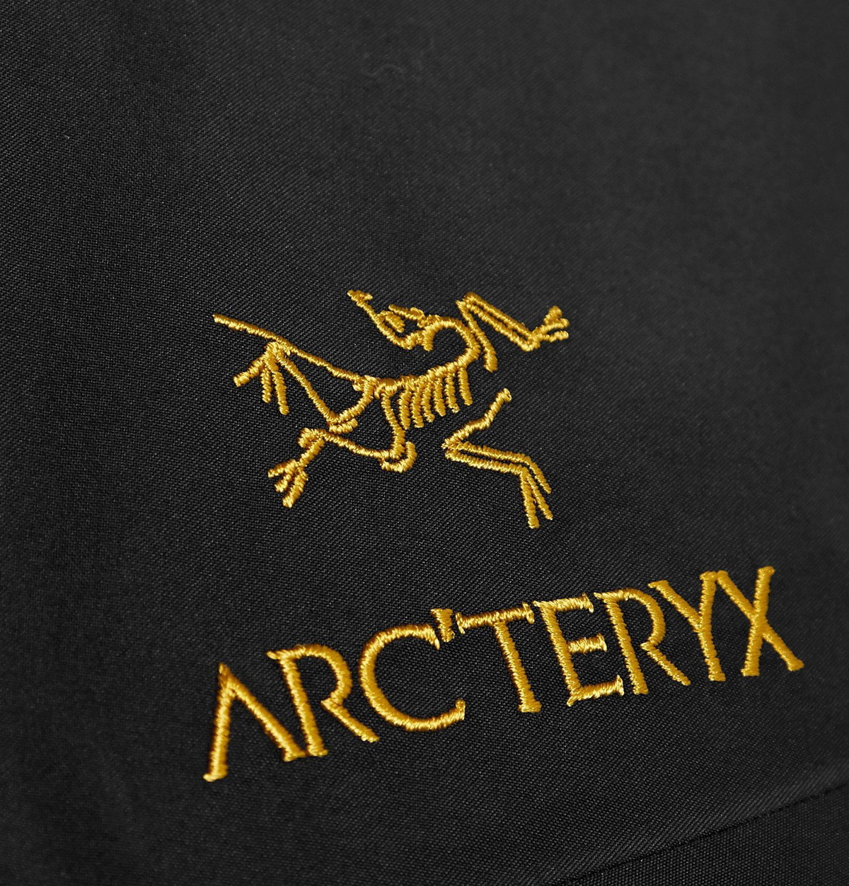 Arc'teryx - Alpha SV GORE-TEX Hooded Jacket - Black Arc'teryx
