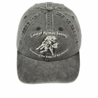 Palmes Men's Lake 6-Panel Cap in Charcoal 