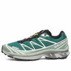 Salomon XT-6 Sneaker in Bistro Green/Green Milieu/Black
