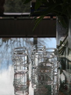 NIKO JUNE White Ivy Drinking Glasses Set