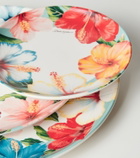 Dolce&Gabbana Casa Ceramic dessert plate