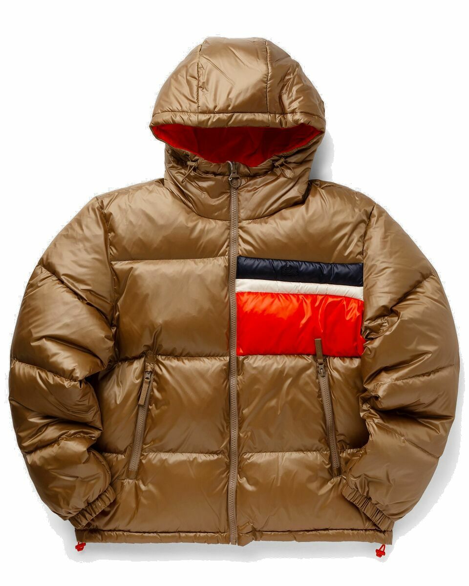 Photo: Lacoste Jacket Brown - Mens - Down & Puffer Jackets