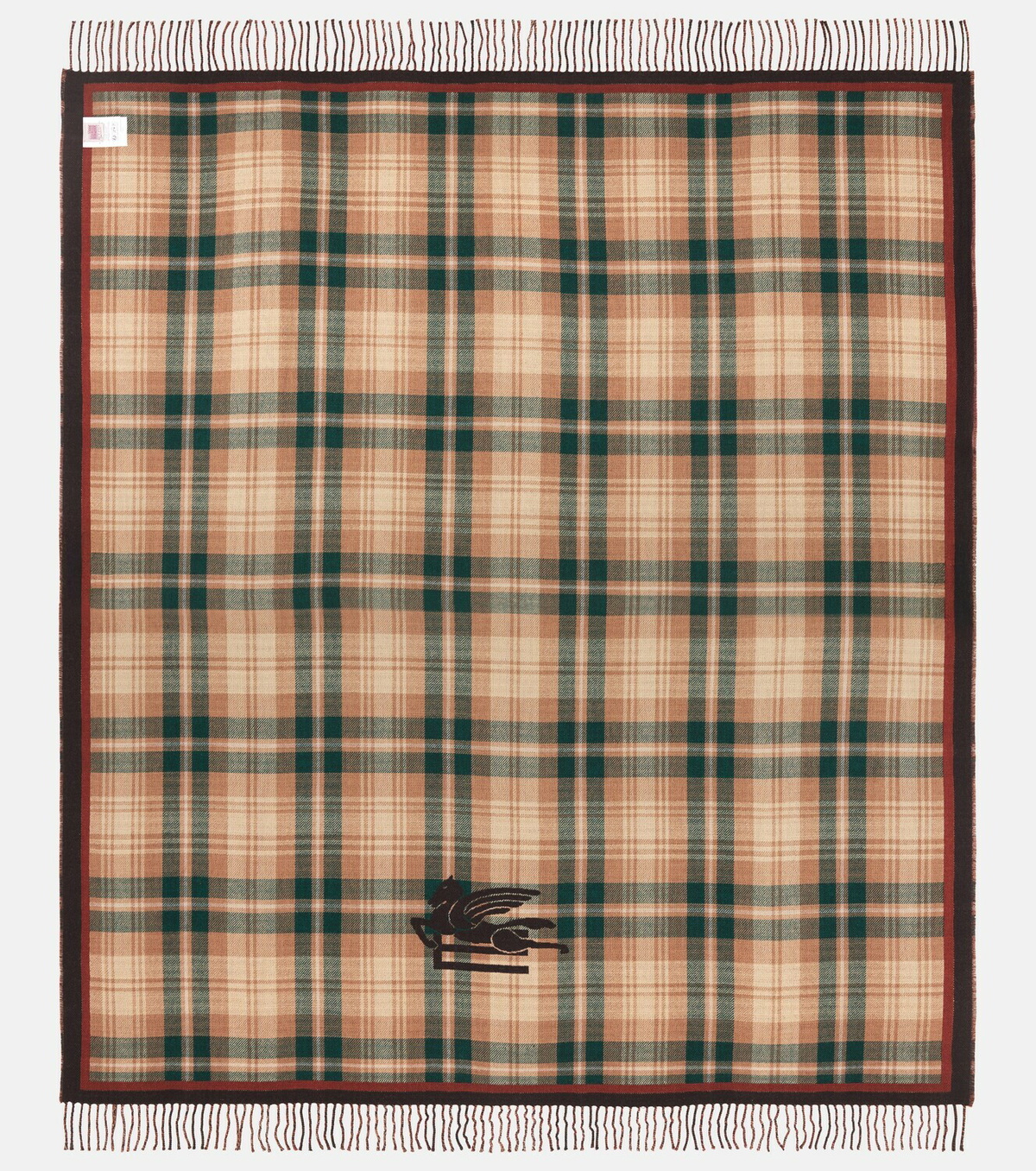 Etro Wool throw