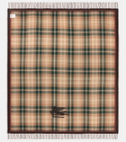 Etro Wool throw
