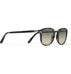 Persol - D-Frame Acetate Sunglasses - Gray