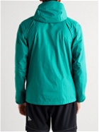 Patagonia - Torrentshell 3L Recycled H2No Performance Standard Ripstop Hooded Jacket - Green
