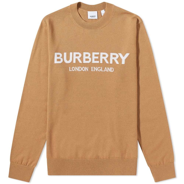 Photo: Burberry Fennel Logo Intarsia Knit