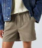 Frame Canvas shorts